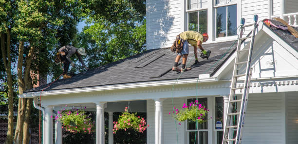 Roof Gutter Cleaning in Lakewood Park, FL